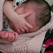 Bailey joined the competition — help win amazing prizes! baby, blanket, hand, dog, sleeping, cozy, knitted, pink, face, resting, fur, cute, infant, soft, warm, person, animal, sleep, indoor, comfort