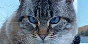 Angel participe au concours pour gagner de l'argent avec cette photo :