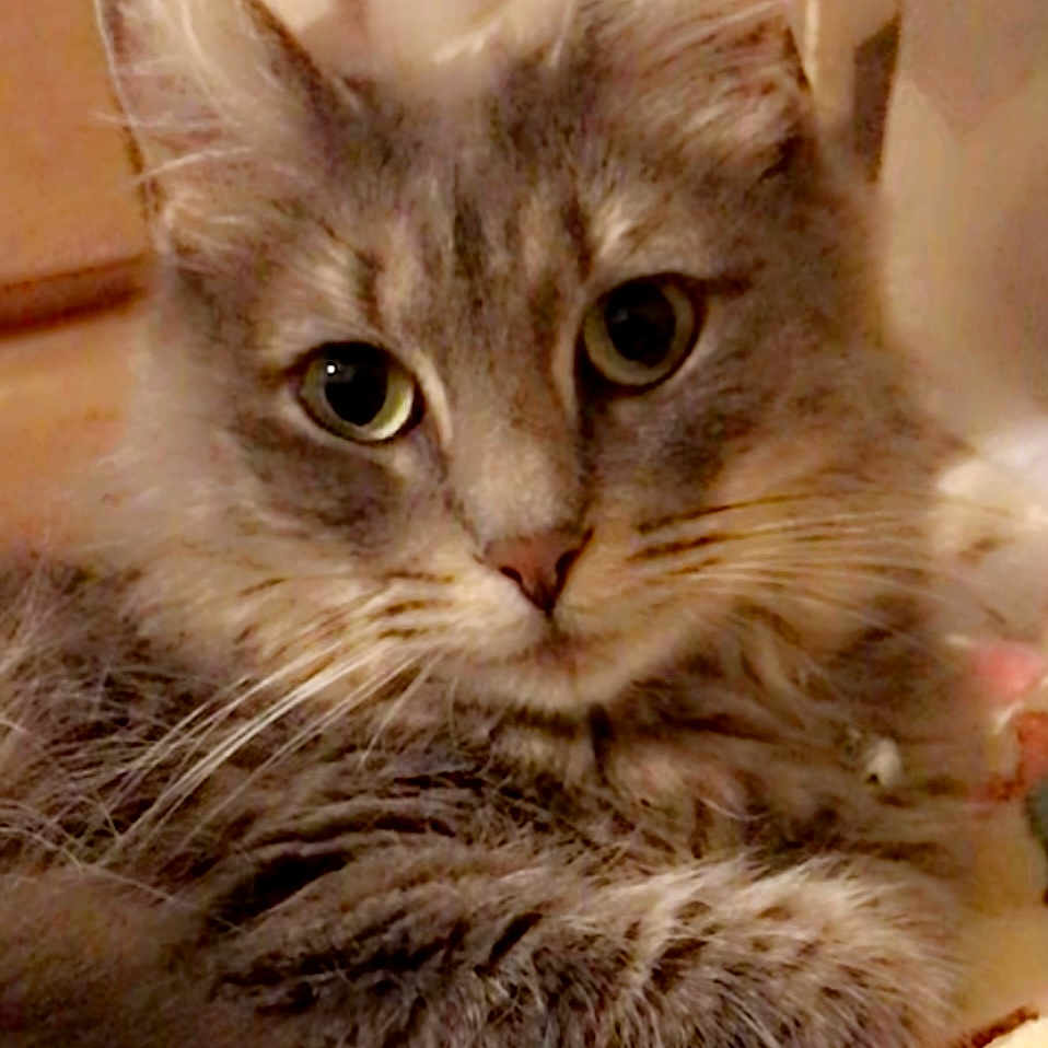 Sasha