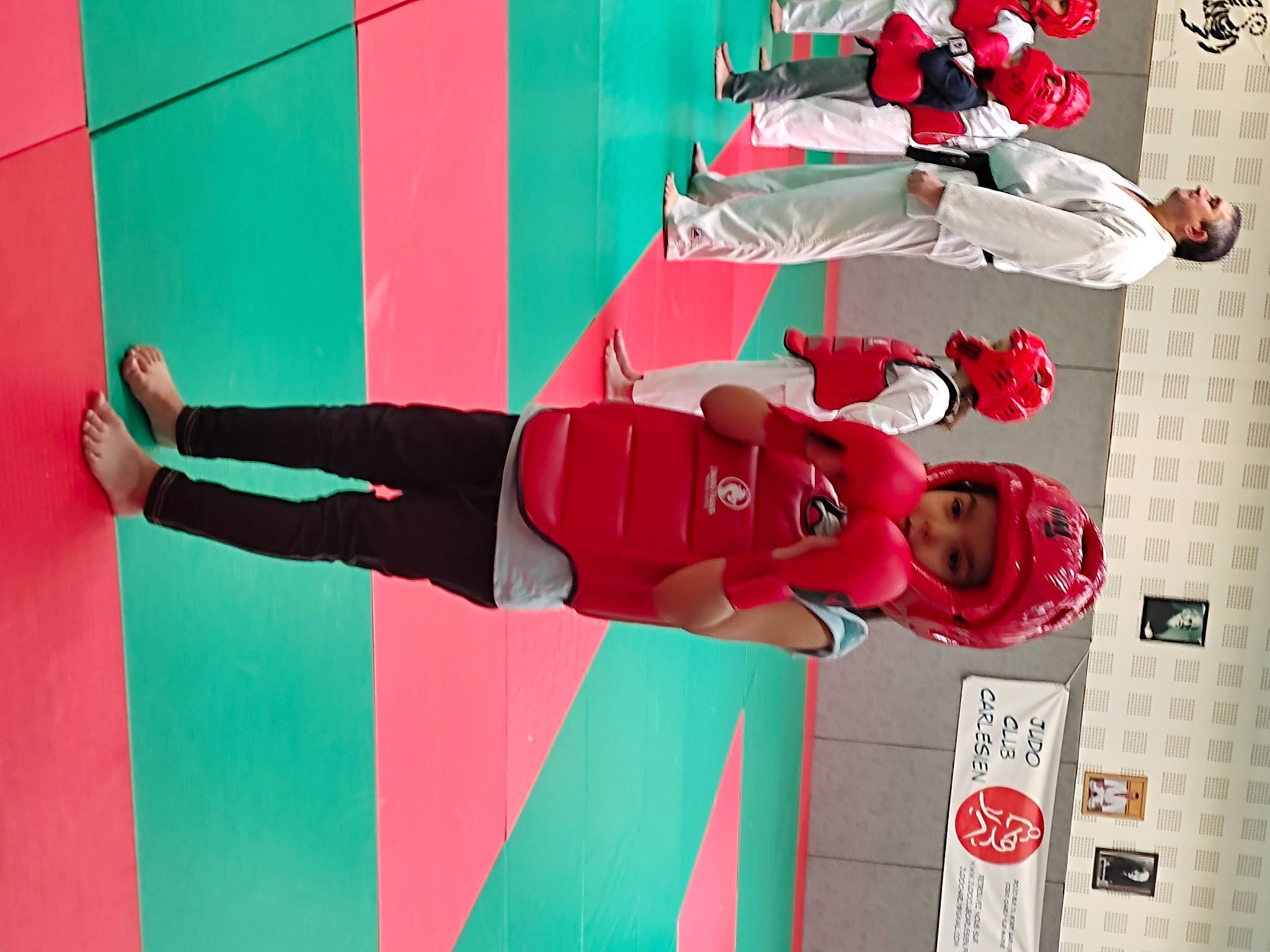 Maewen a rejoint le concours — aidez-le/la à gagner de superbes lots ! carmine, costume, fictional_character, headwear, human_leg, knee, magenta, pattern, person, plant, room, sock, sports_uniform, sportswear, t_shirt, textile, thigh, tree