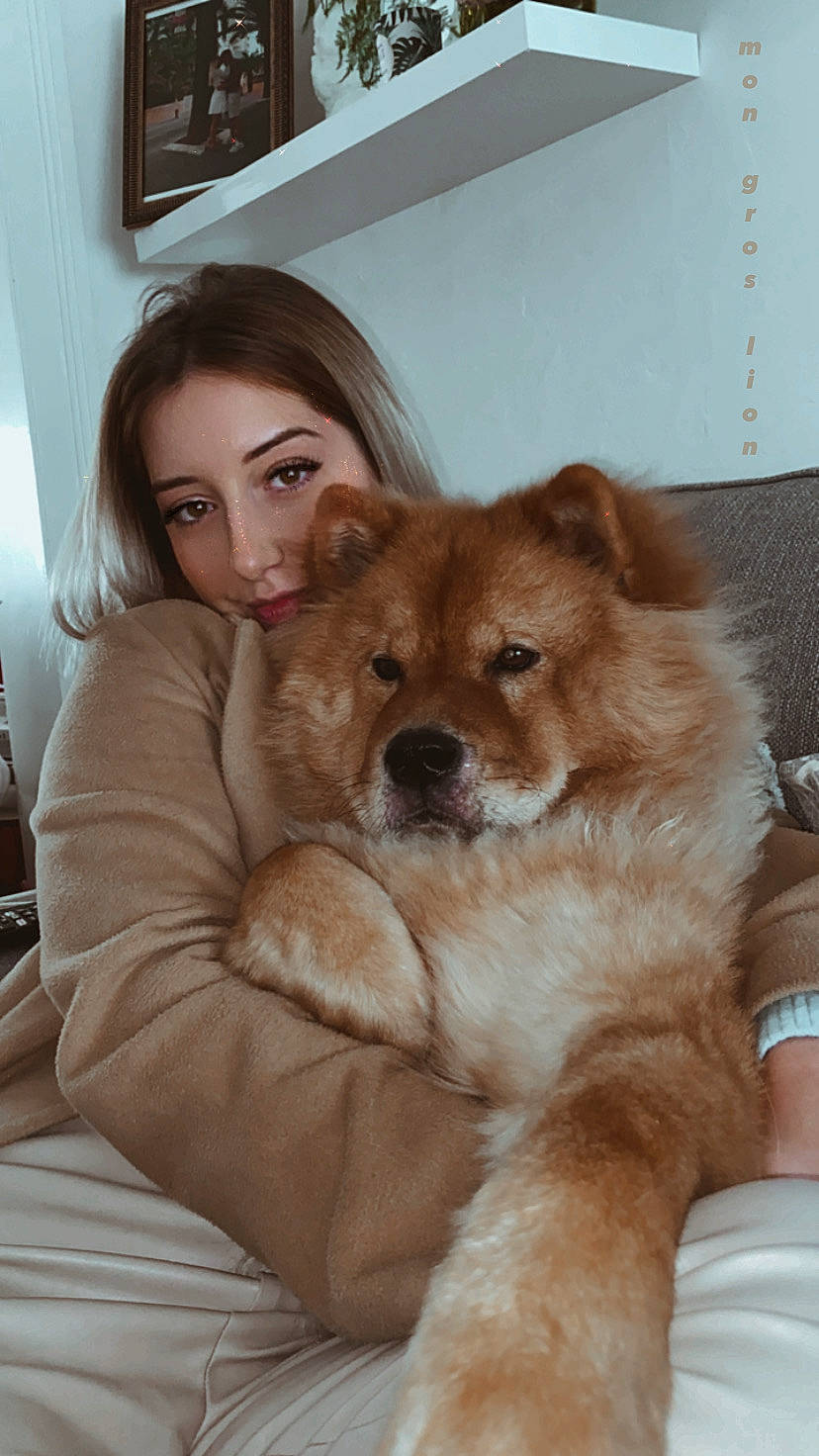 Fendi participe au concours pour gagner de l'argent avec cette photo : brown_hair, carnivore, comfort, companion_dog, dog, dog_breed, dog_supply, door, fawn, fur, liver, picture_frame, puppy, sitting, whiskers, window, working_animal