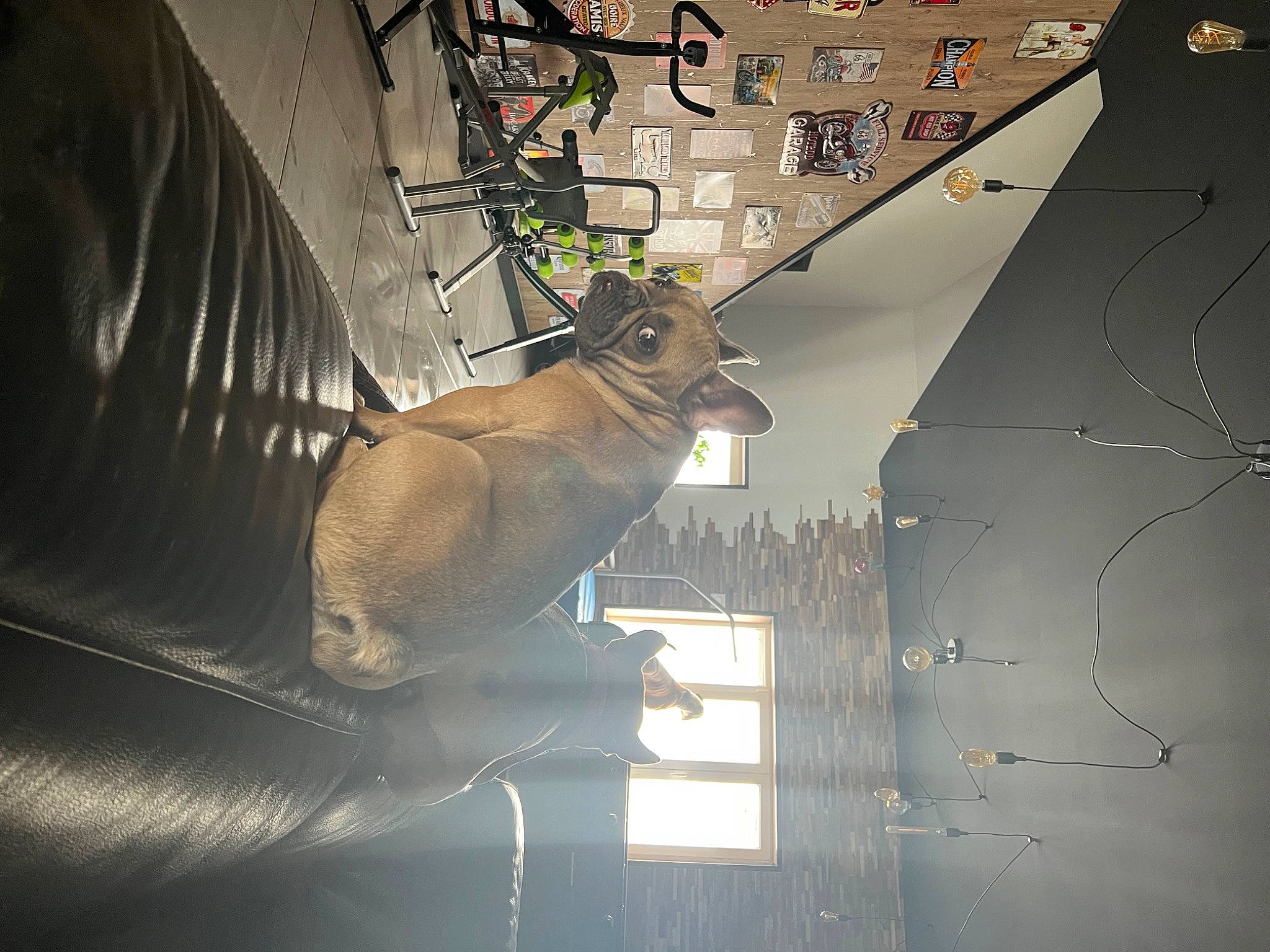 Sky participe au concours pour gagner de l'argent avec cette photo : aerospace_engineering, art, ceiling, daylighting, font, glass, graphic_design, graphics, illustration, metal, pattern, room, shadow, space, symmetry, tints_and_shades, urban_design, visual_arts, wing, wood