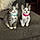 Miko And Maggie