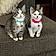 Miko And Maggie