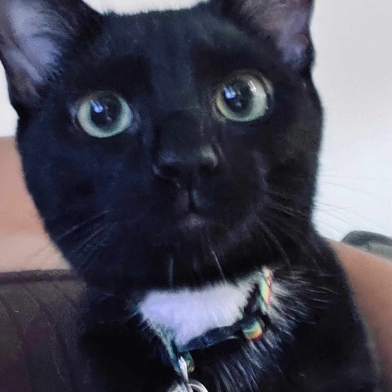 Nyx