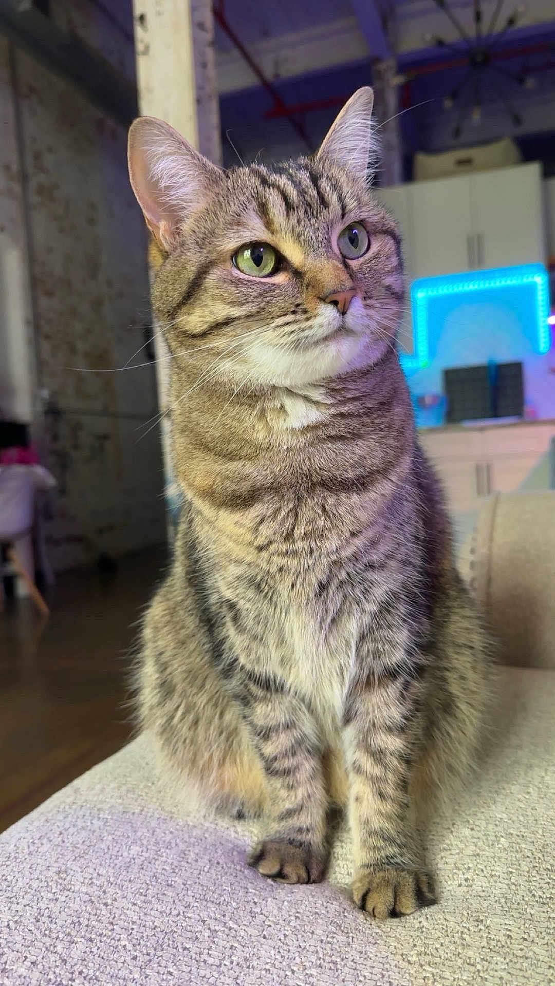 Denali