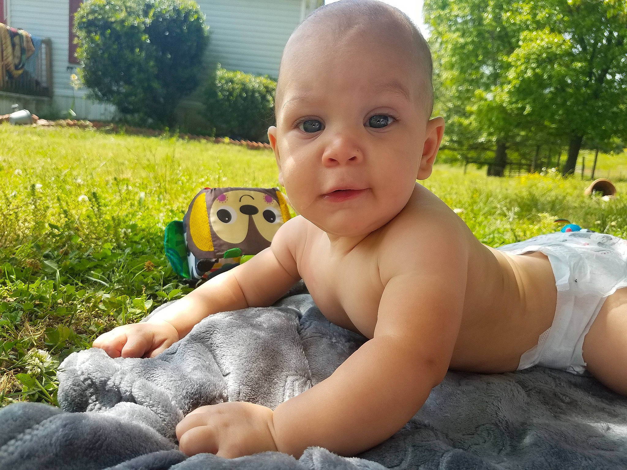 Alexavier joined the competition — help win amazing prizes! baby, child, diaper, grass, leg, muscle, person, play, sitting, summer, toddler