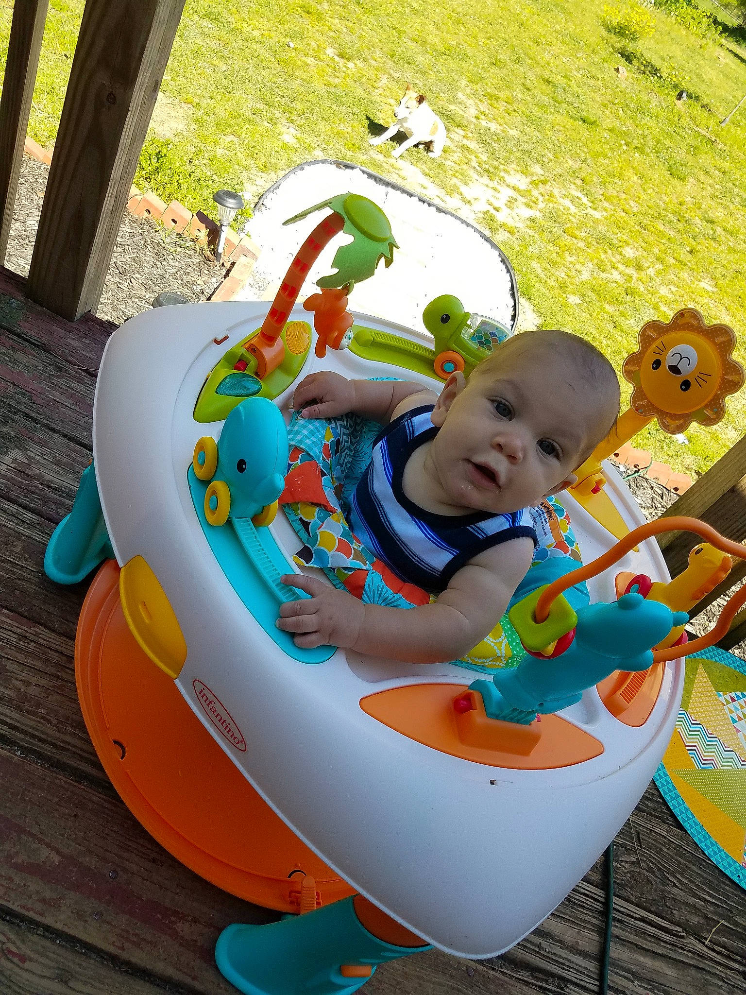 Alexavier joined the competition — help win amazing prizes! baby, baby_products, baby_toys, child, fun, leisure, person, play, product, toddler, toy