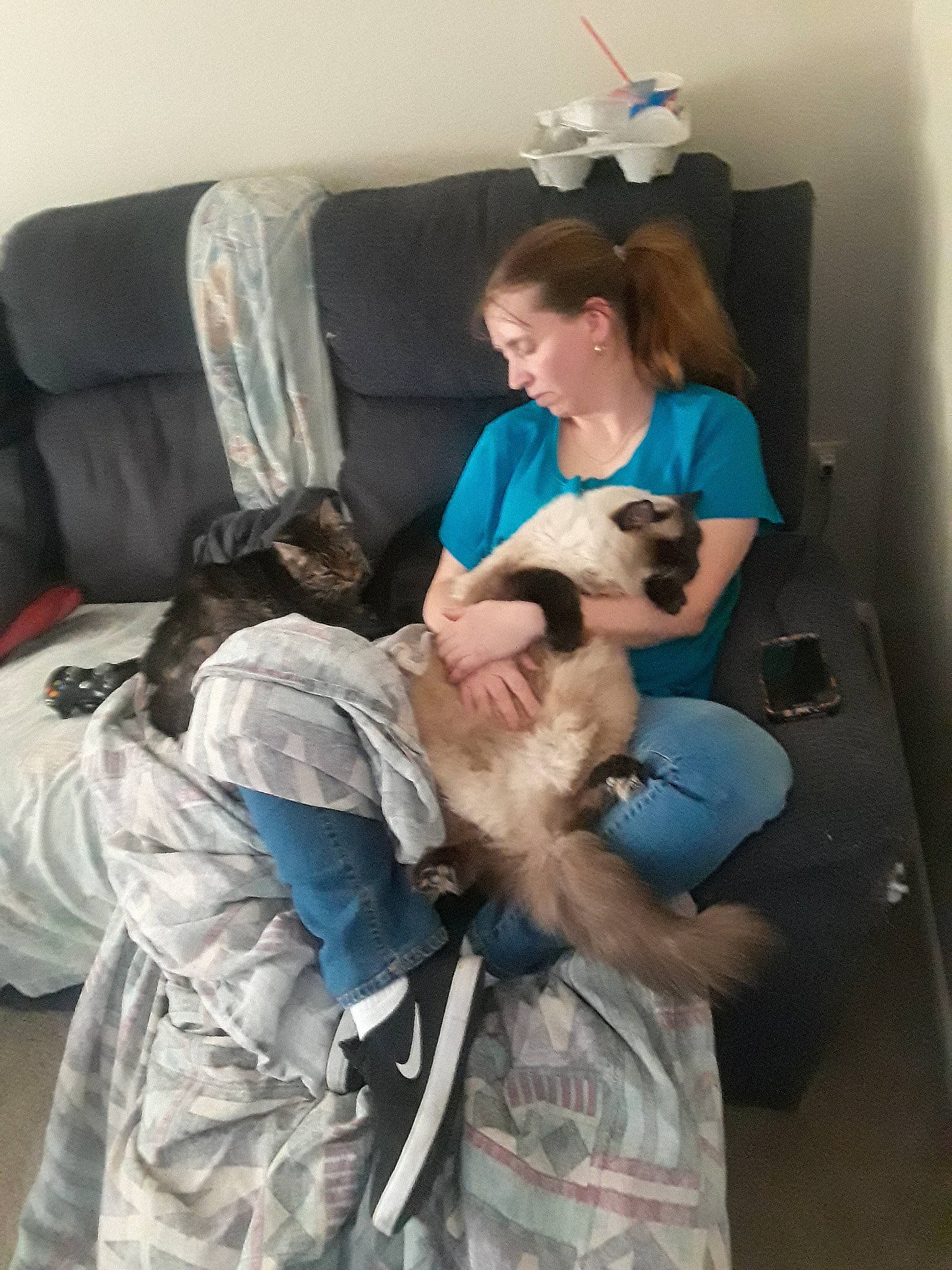 Sebastian is registered to the contest to win money with this photo: birth, canidae, sporting_group