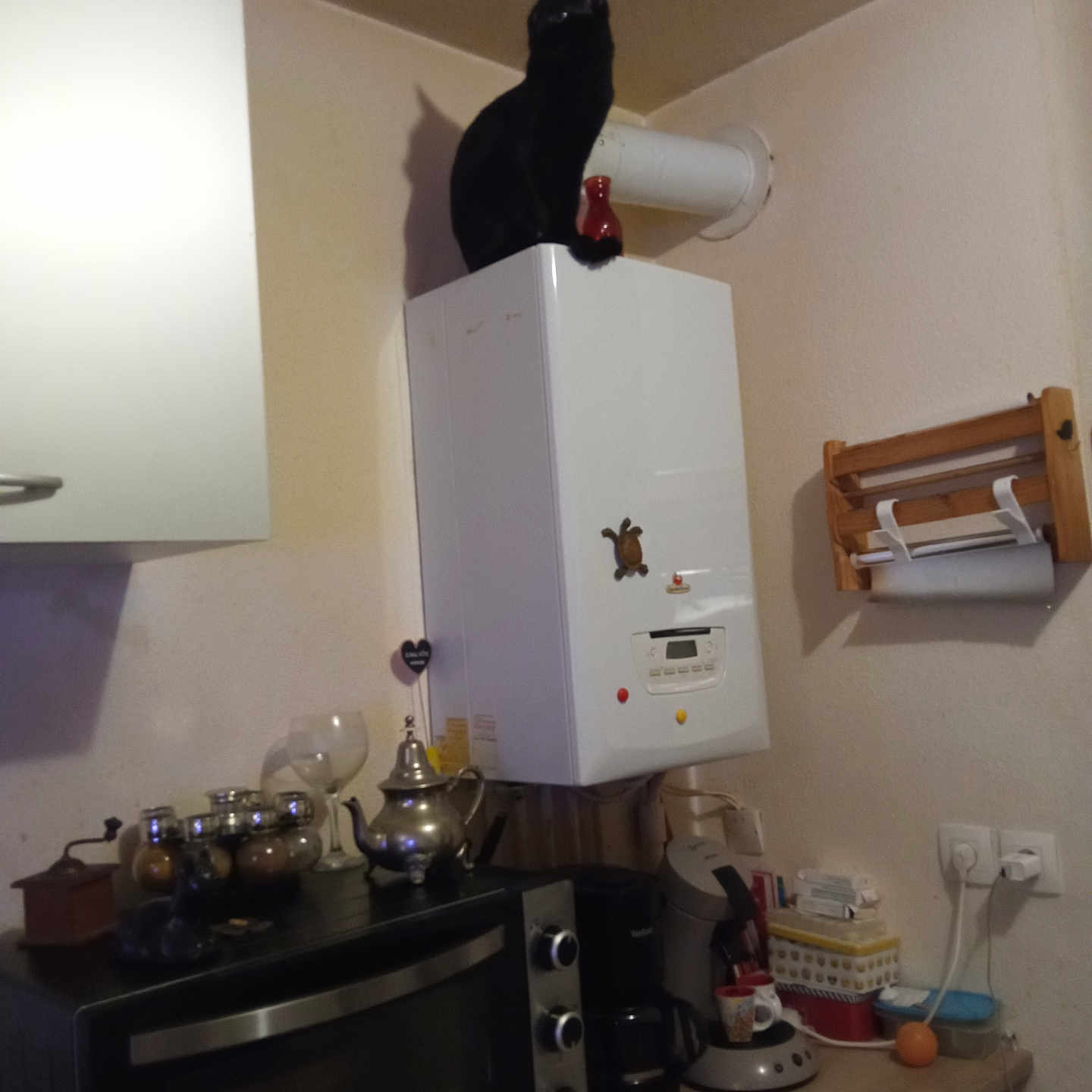 Sonic a rejoint le concours — aidez-le/la à gagner de superbes lots ! animal, appliance, ball, cat, cookware, device, electricaldevice, furniture, indoors, interiordesign, microwave, oven, pet, pot, pottery, shelf, sport, tennis, tennisball, wood