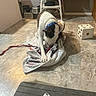 animal, blanket, canine, chewing, collar, dog, domestic, floor, flooring, household_items, indoor, large_dice, pet, playful, red_leash, room, tile_floor, towel, toy, wicker_stool
