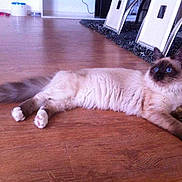 Gucci participe au concours pour gagner de l'argent avec cette photo :