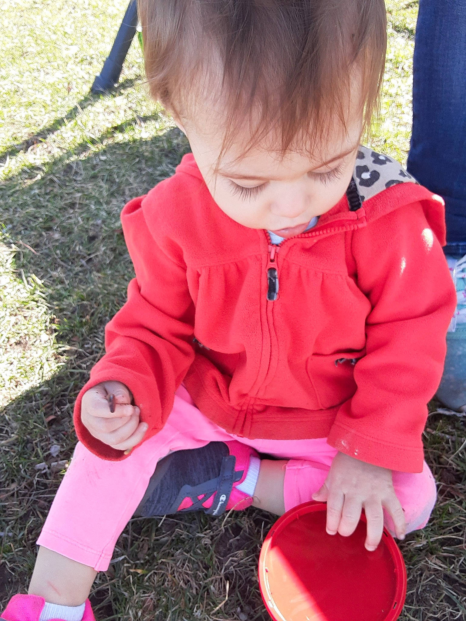 Noel is registered to the contest to win money with this photo: baby, baby_toddler_clothing, child, drum, fun, grass, green, happy, magenta, pattern, people_in_nature, person, pink, play, public_space, recreation, shoe, sitting, soil, spring