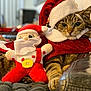 cat, tabby_cat, santa_hat, plush_toy, santa_claus, holiday, festive, costume, red, white, indoor, pet, animal, relaxing, cozy, soft, couch, blanket, closeup, cute