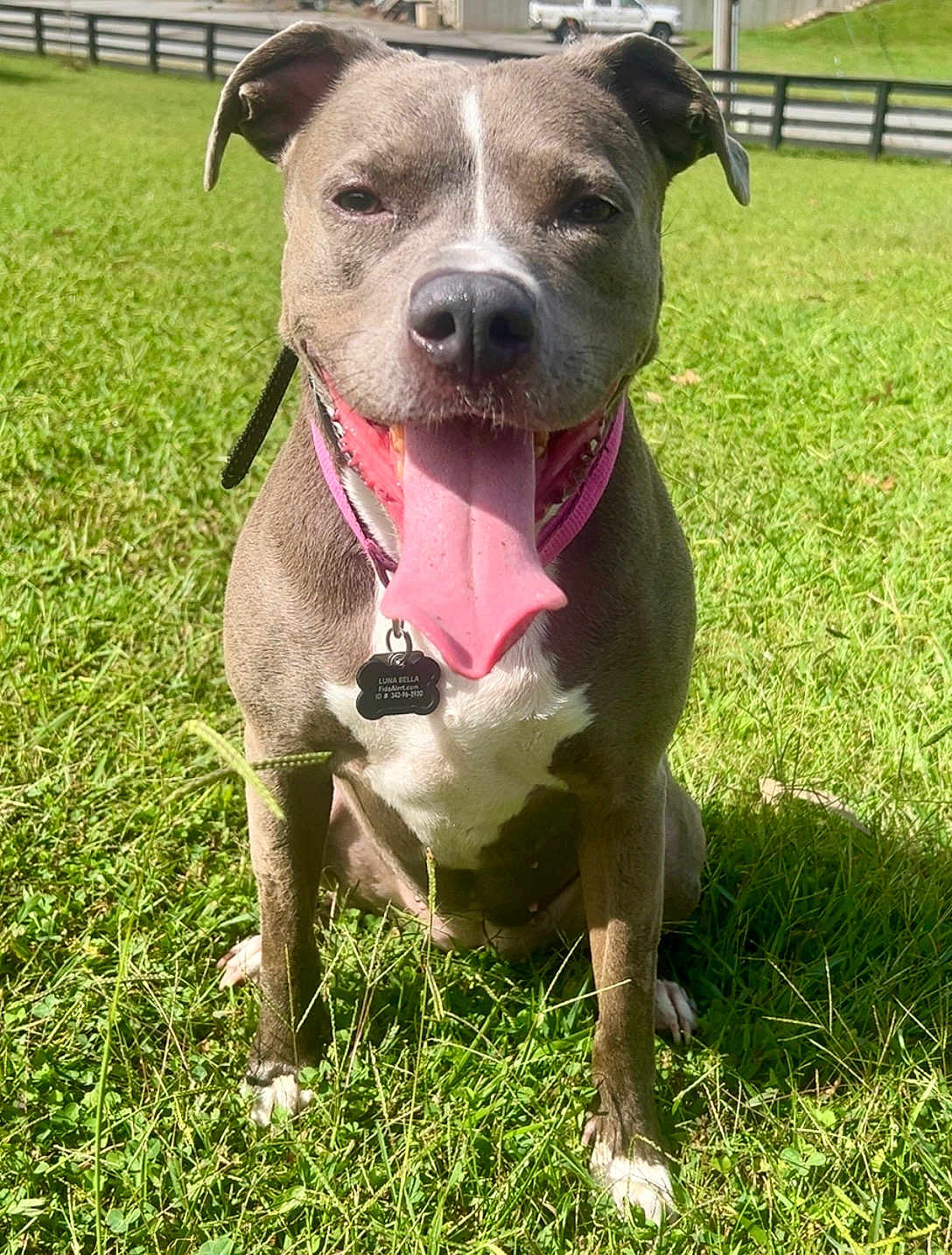 Luna Bella