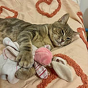 Peter a rejoint le concours — aidez-le/la à gagner de superbes lots ! cat, tabby, sleepy, toy, plush, bunny, blanket, heart_shape, indoor, feline, pet, cozy, cute, paw, resting, soft, striped, animal, comfort, relaxed