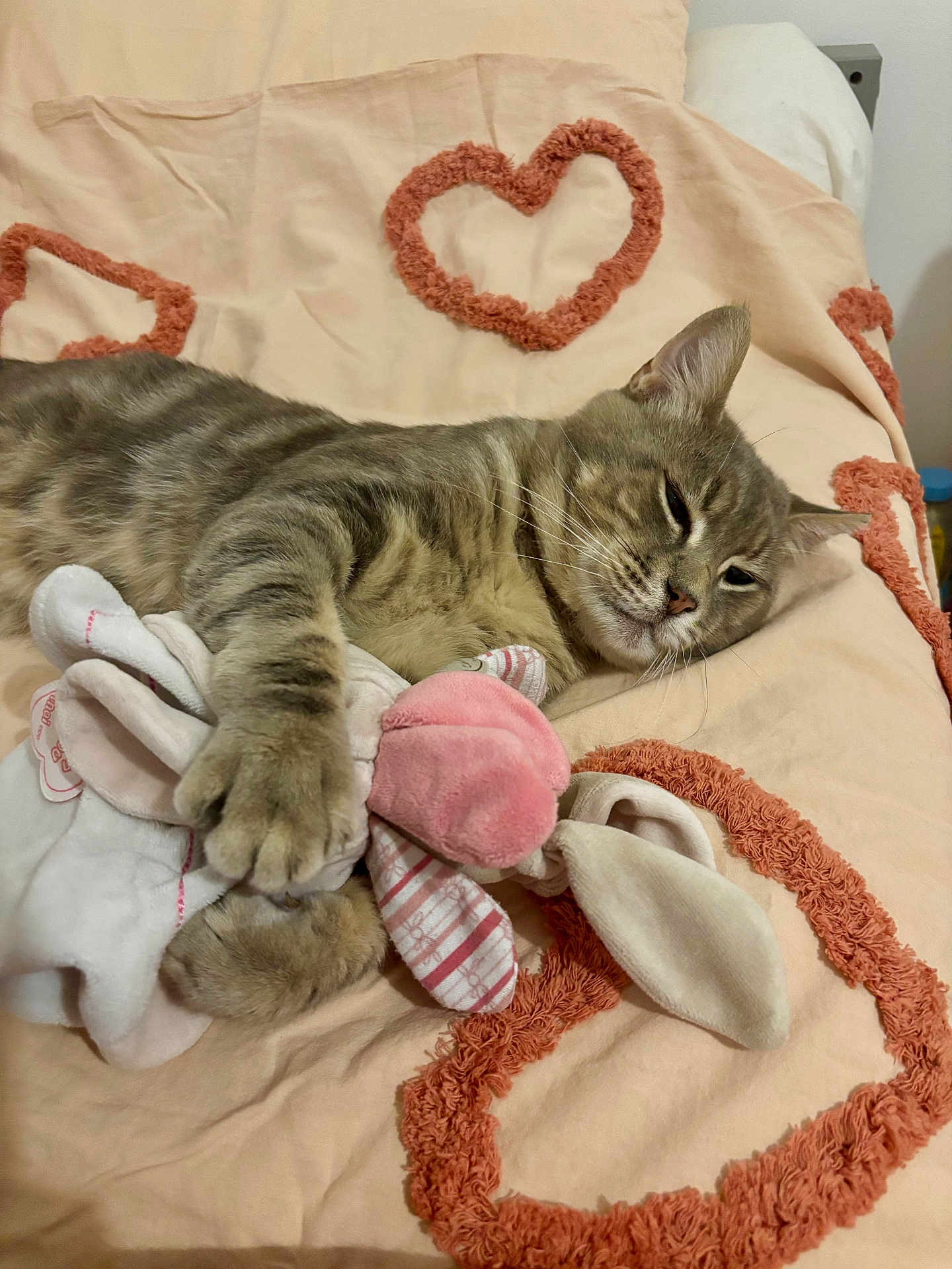 Peter a rejoint le concours — aidez-le/la à gagner de superbes lots ! cat, tabby, sleepy, toy, plush, bunny, blanket, heart_shape, indoor, feline, pet, cozy, cute, paw, resting, soft, striped, animal, comfort, relaxed