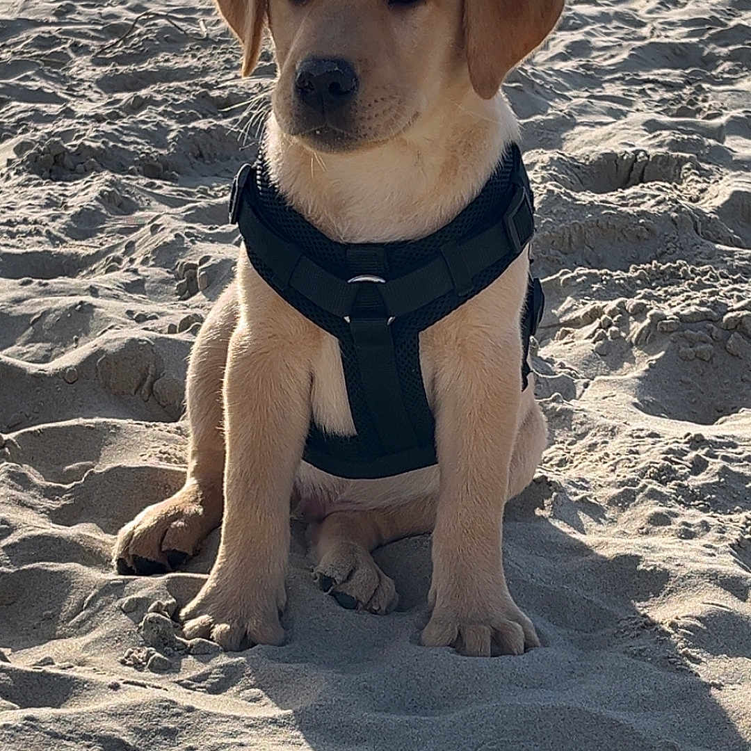 Rio