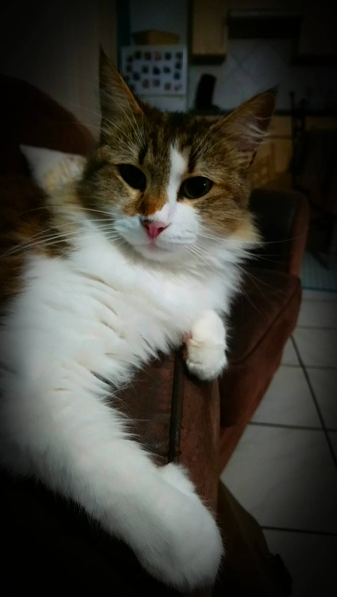 Laguigne