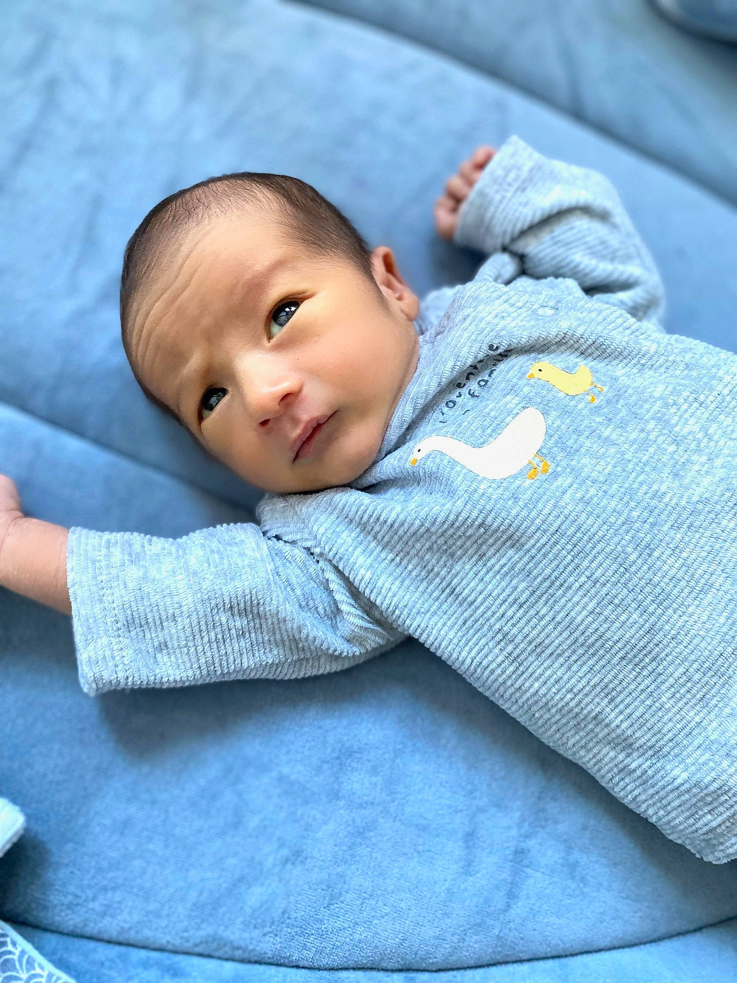 Liam participe au concours pour gagner de l'argent avec cette photo : baby, baby_toddler_clothing, child, collar, comfort, electric_blue, flash_photography, grass, grey, happy, linens, pattern, person, portrait_photography, sitting, skin, sleeve, smile, textile, toddler
