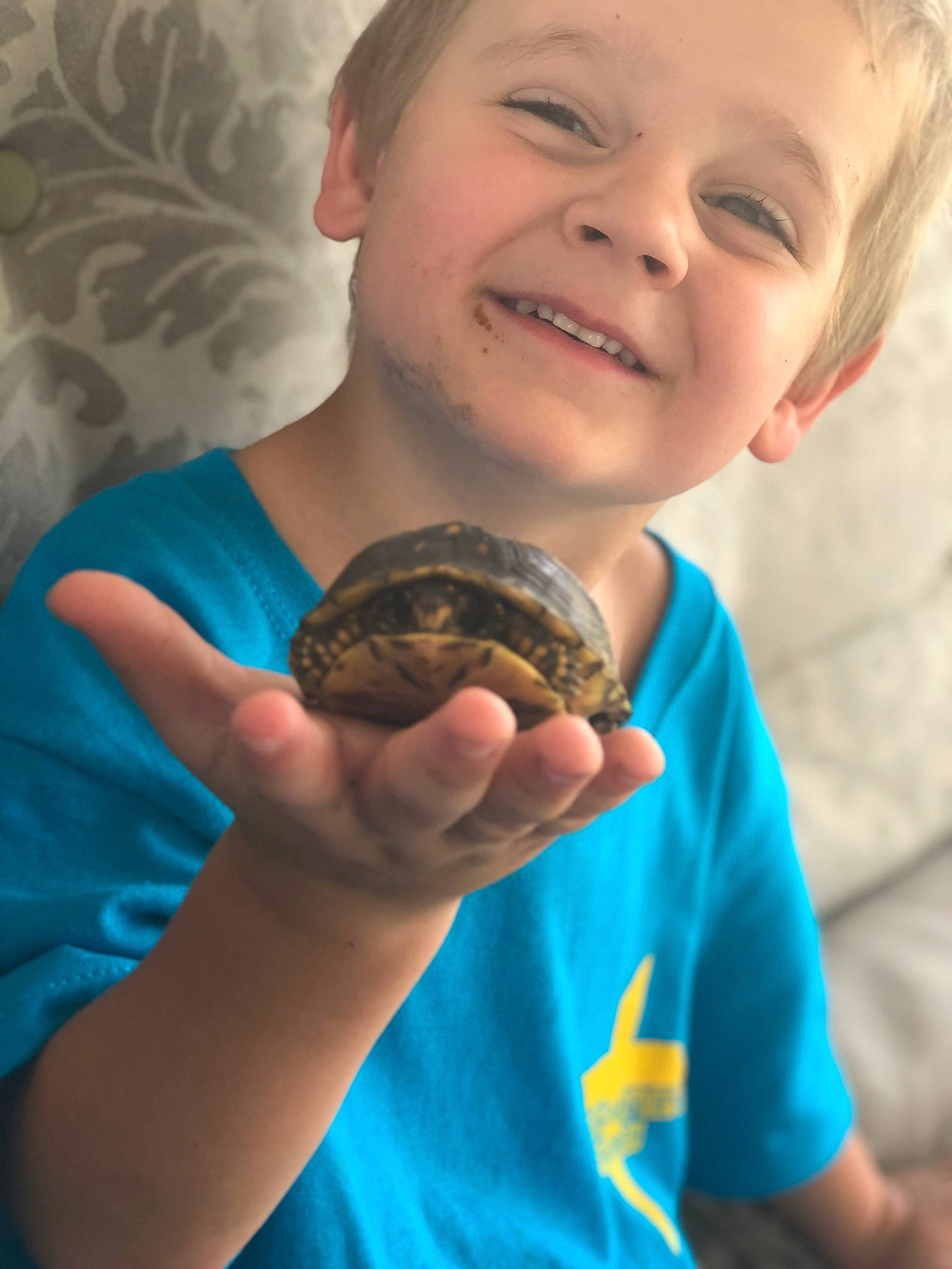 Jaxon joined the competition — help win amazing prizes! arm, blue, child, finger, fish, hand, happy, jaw, joy, mouth, organ, person, reptile, skin, smile, snake, soil, thumb, toddler, tortoise