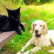 Ivoire participe au concours pour gagner de l'argent avec cette photo :