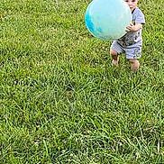 Willie joined the competition — help win amazing prizes! toddler, child, ball, grass, outdoor, playing, toy, field, greenery, casual_clothing, summer, daylight, person, young_child, nature, fun, activity, cute, holding, barefoot
