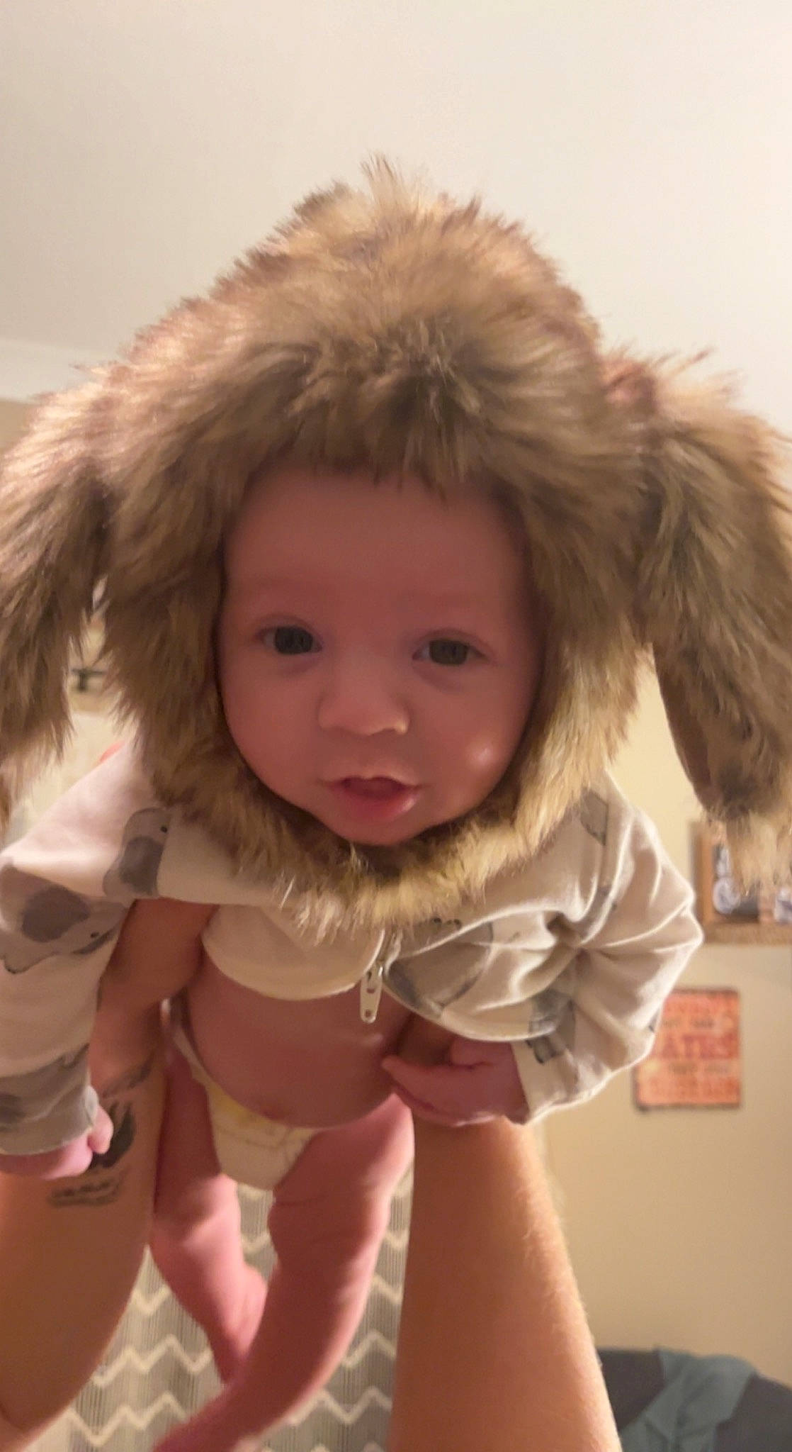 Creed joined the competition — help win amazing prizes! baby, baby_toddler_clothing, blond, brown_hair, cheek, eye, finger, fun, fur, fur_clothing, happy, iris, lip, long_hair, mouth, nose, person, skin, sleeve, textile