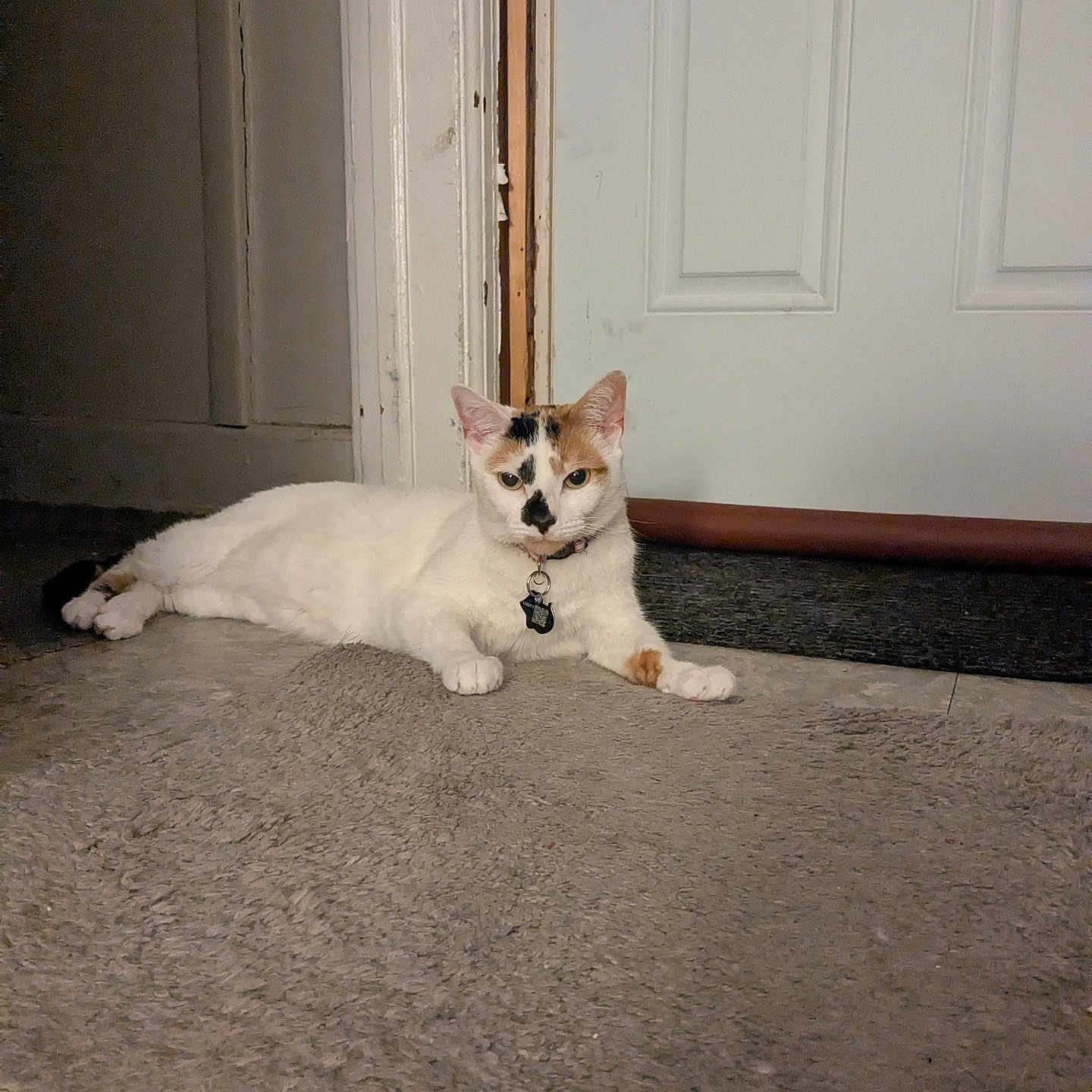 Angelica