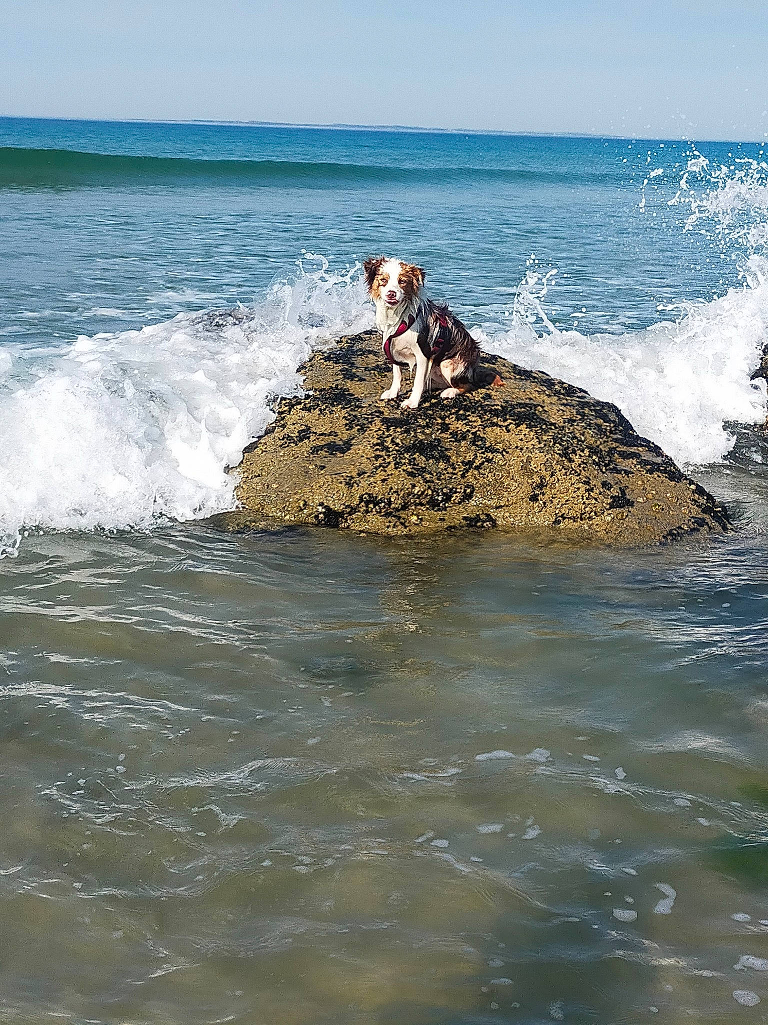 Roxie participe au concours pour gagner de l'argent avec cette photo : beach, cloud, coast, coastal_and_oceanic_landforms, fun, horizon, lake, leisure, ocean, recreation, rock, sky, sporting_group, tide, tropics, water, wave, wind, wind_wave