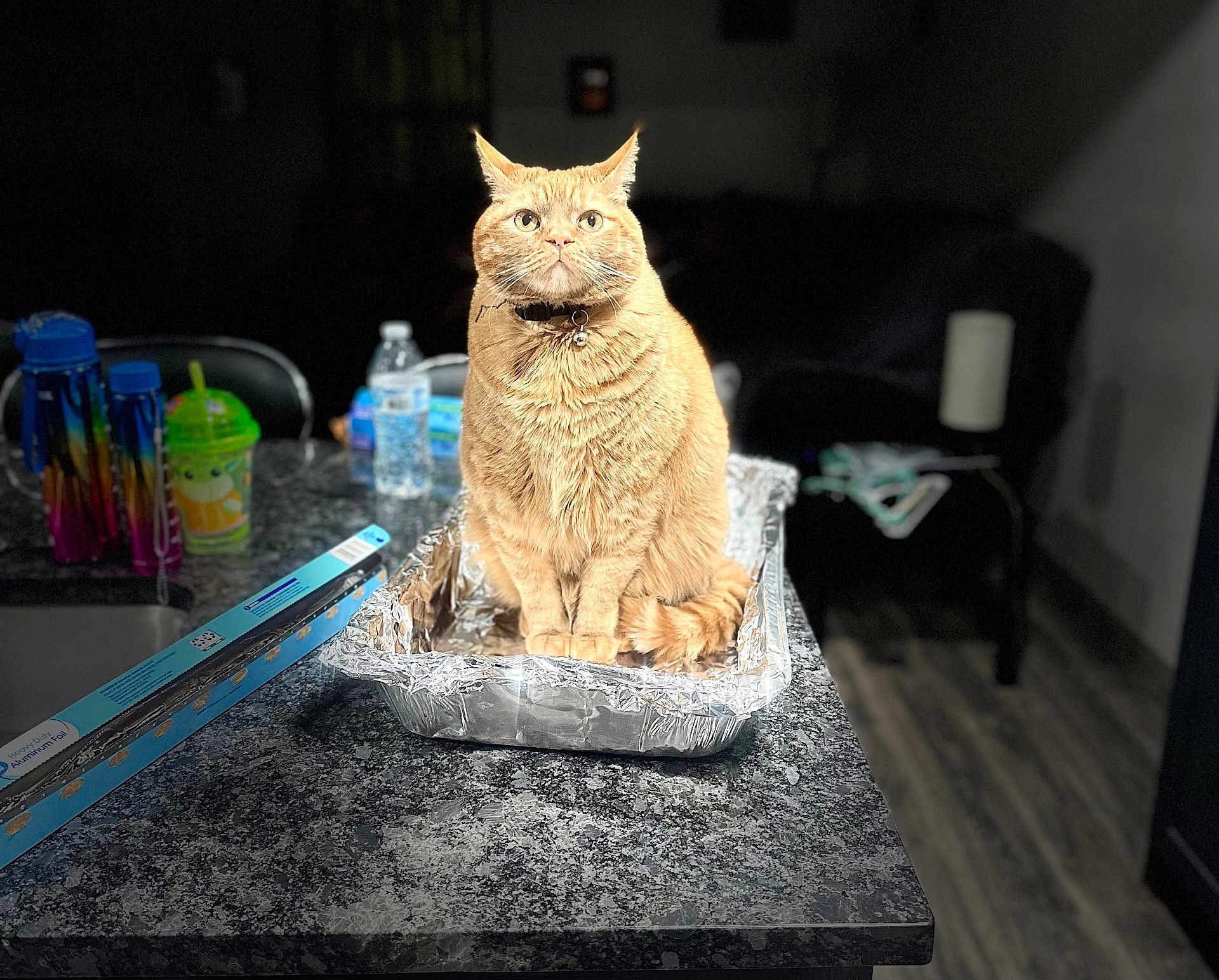 Tigger