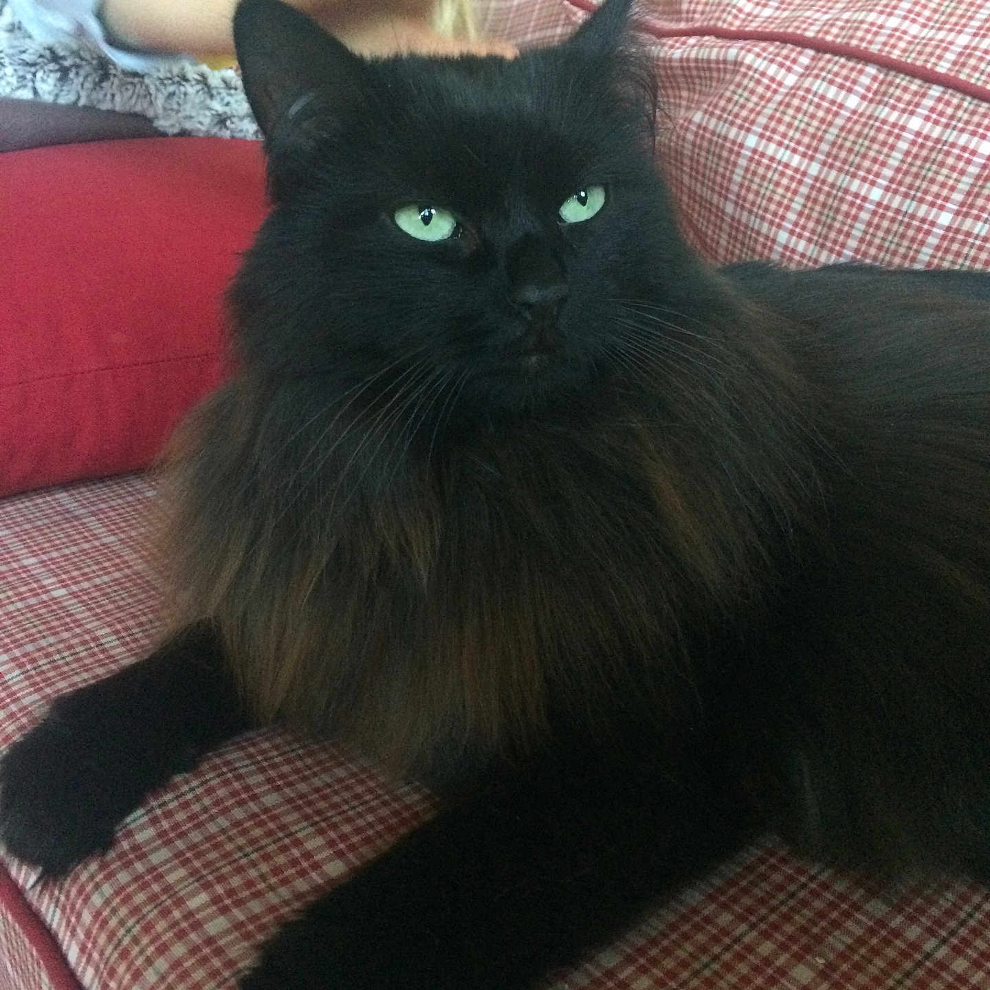 Binka