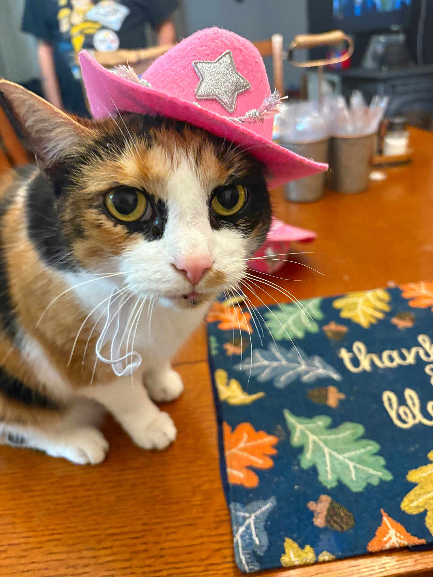 Ruby joined the competition — help win amazing prizes! cat, calico_cat, pink_hat, cowboy_hat, table, placemat, autumn_theme, thankful_blessed, indoor, pet, whiskers, closeup, animal, cute, domestic_cat, feline, decor, colorful, soft_focus, household