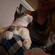 Princess Gianna is registered to the contest to win money with this photo: cat, person, indoor, plaid_pants, collar, pet, lap, warm_lighting, feline, human, smile, cozy, bedroom, whiskers, resting, casual, home, comfort, animal, friendship
