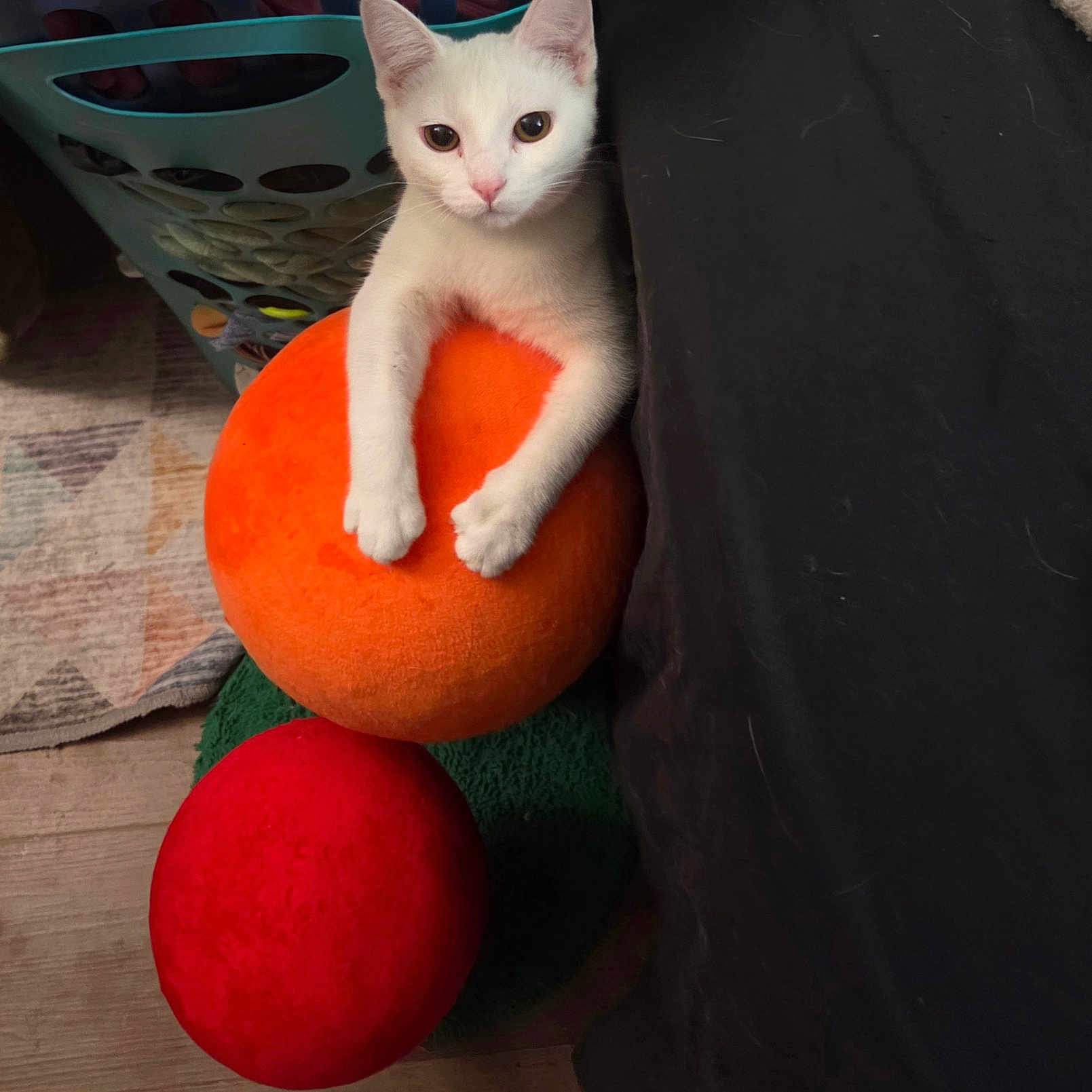 Snowball
