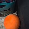animal, blue, cat, couch, cozy, curious, domestic, feline, floor, hidden, indoor, laundry_basket, orange_ball, peeking, pet, playful, quiet, shadow, soft_texture, toy