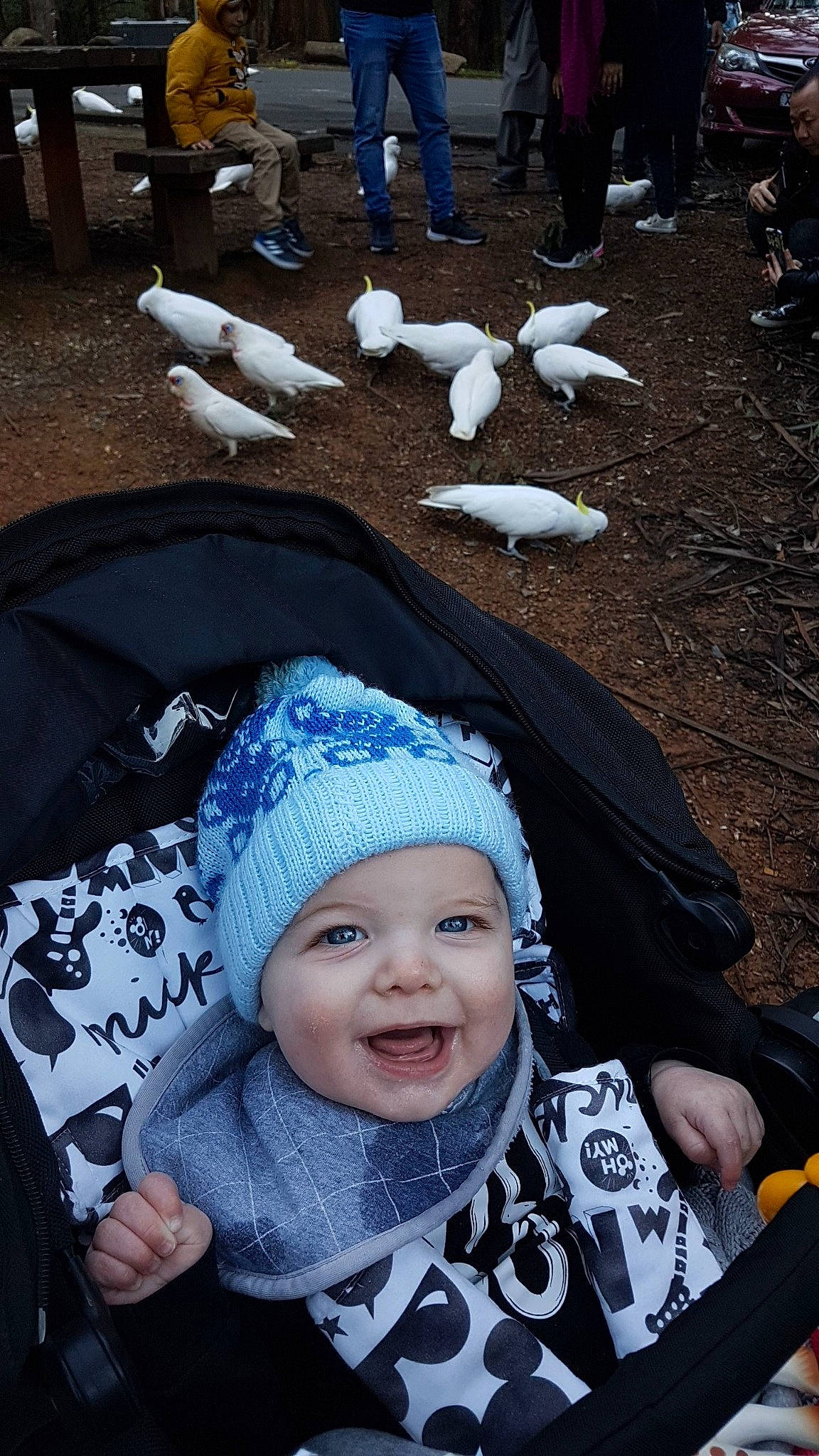 Cruz joined the competition — help win amazing prizes! baby, blue, bonnet, child, head, headgear, headwear, joy, person, photography, product, smile, toddler, under_exposed