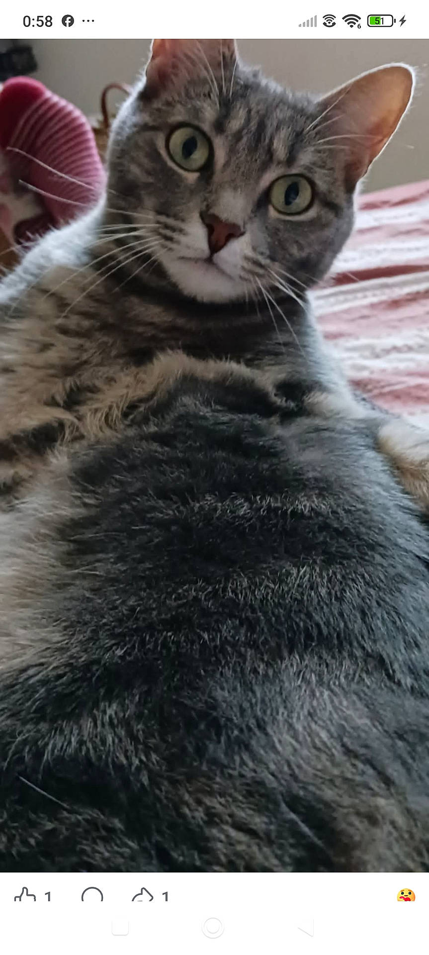 Liloune Ci Lily