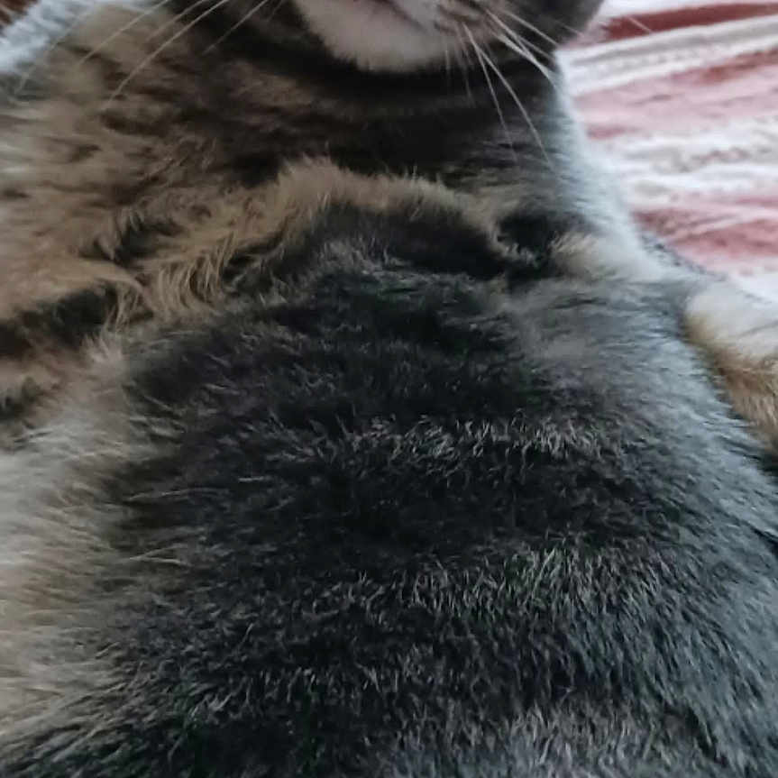 Liloune Ci Lily