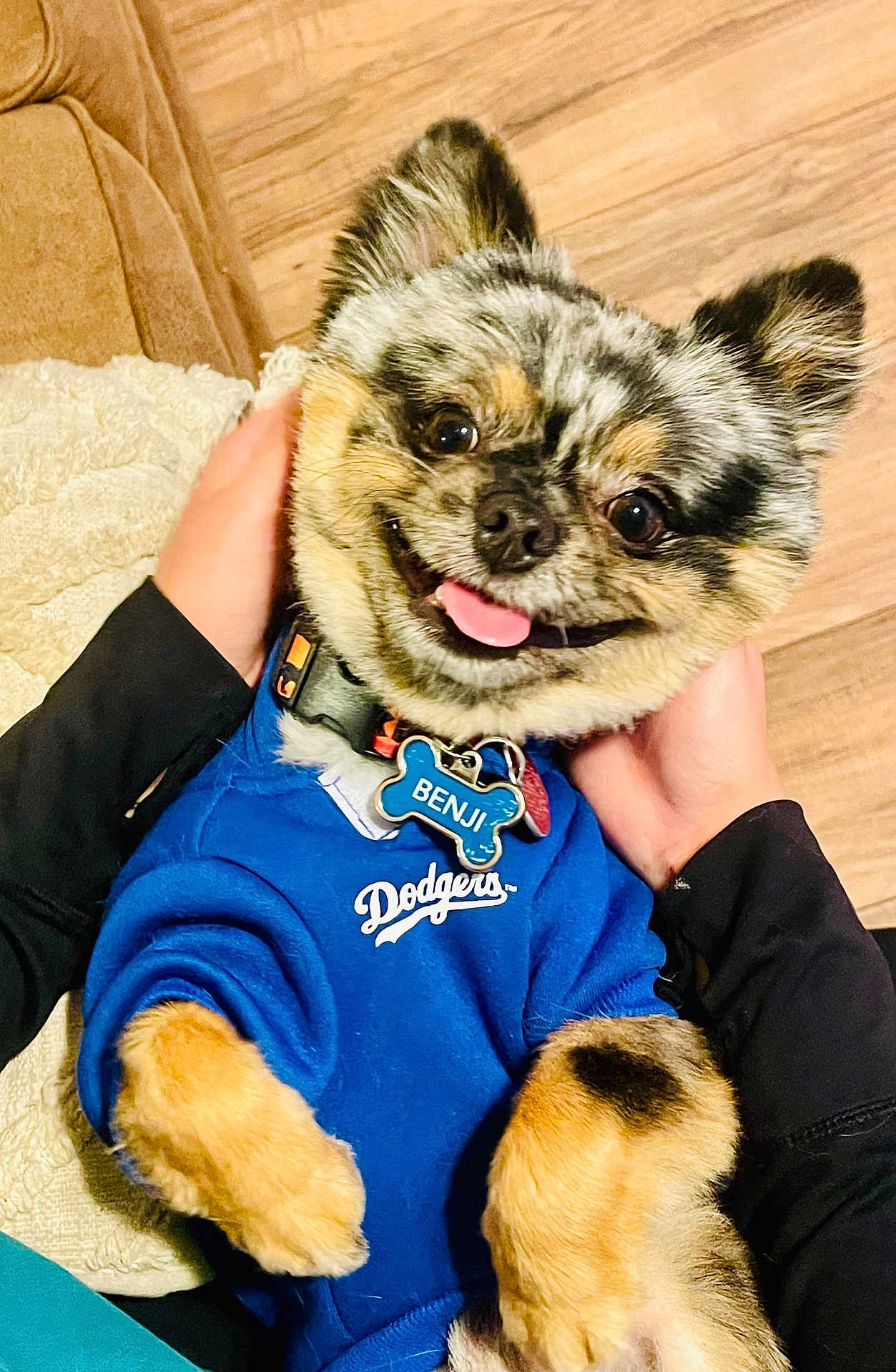 Benji