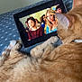 Rio participe au concours pour gagner de l'argent avec cette photo : animal, bed, bedroom, blanket, cat, cozy, curled_up, entertainment, feline, indoor, orange_tabby, people, pet, polka_dot, relaxed, resting, screen, tablet, technology, watching