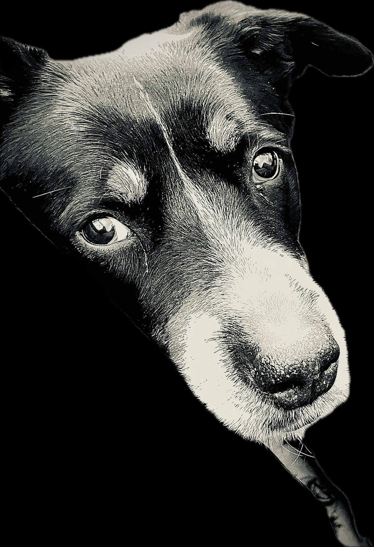 Murphy