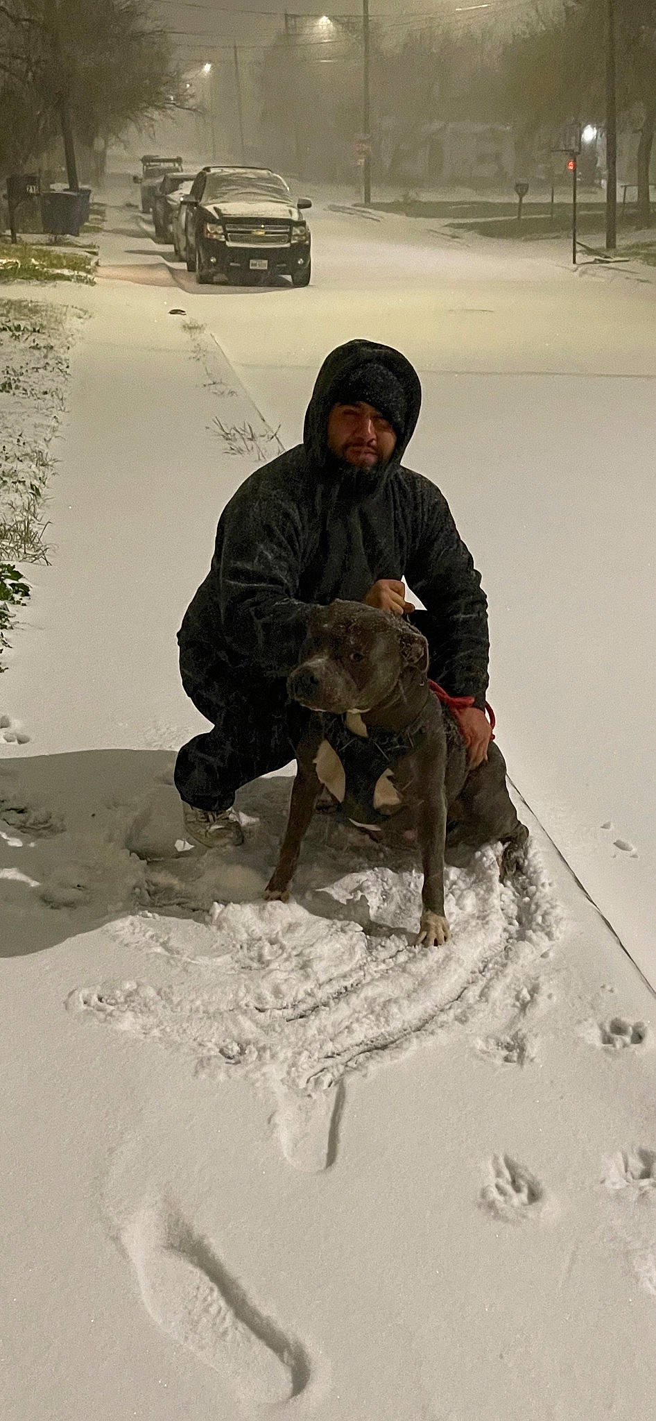 Gordo is registered to the contest to win money with this photo: automotive_tire, boot, canidae, carnivore, dog, dog_breed, freezing, fun, fur, plant, playing_in_the_snow, recreation, snow, soil, sporting_group, tire, vehicle, wheel, winter, working_animal