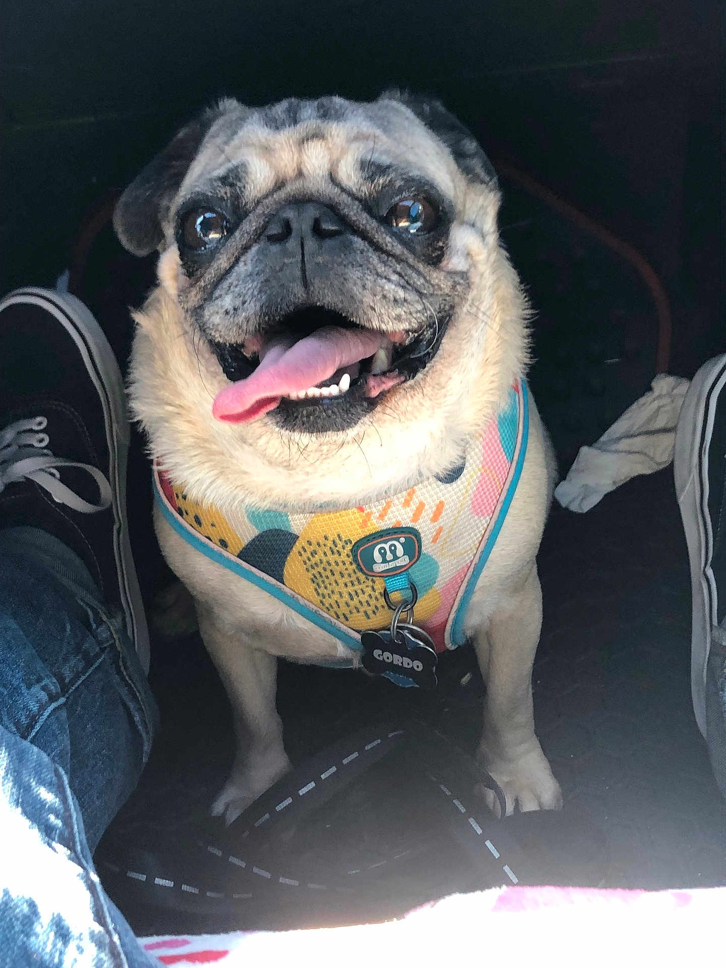 Pablo