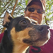 Dobie joined the competition — help win amazing prizes! animal, canine, cap, close_up, daylight, dog, face, fur, happy, head, leisure, nature, outdoor, person, pet, portrait, smiling, sunglasses, sunlight, tree