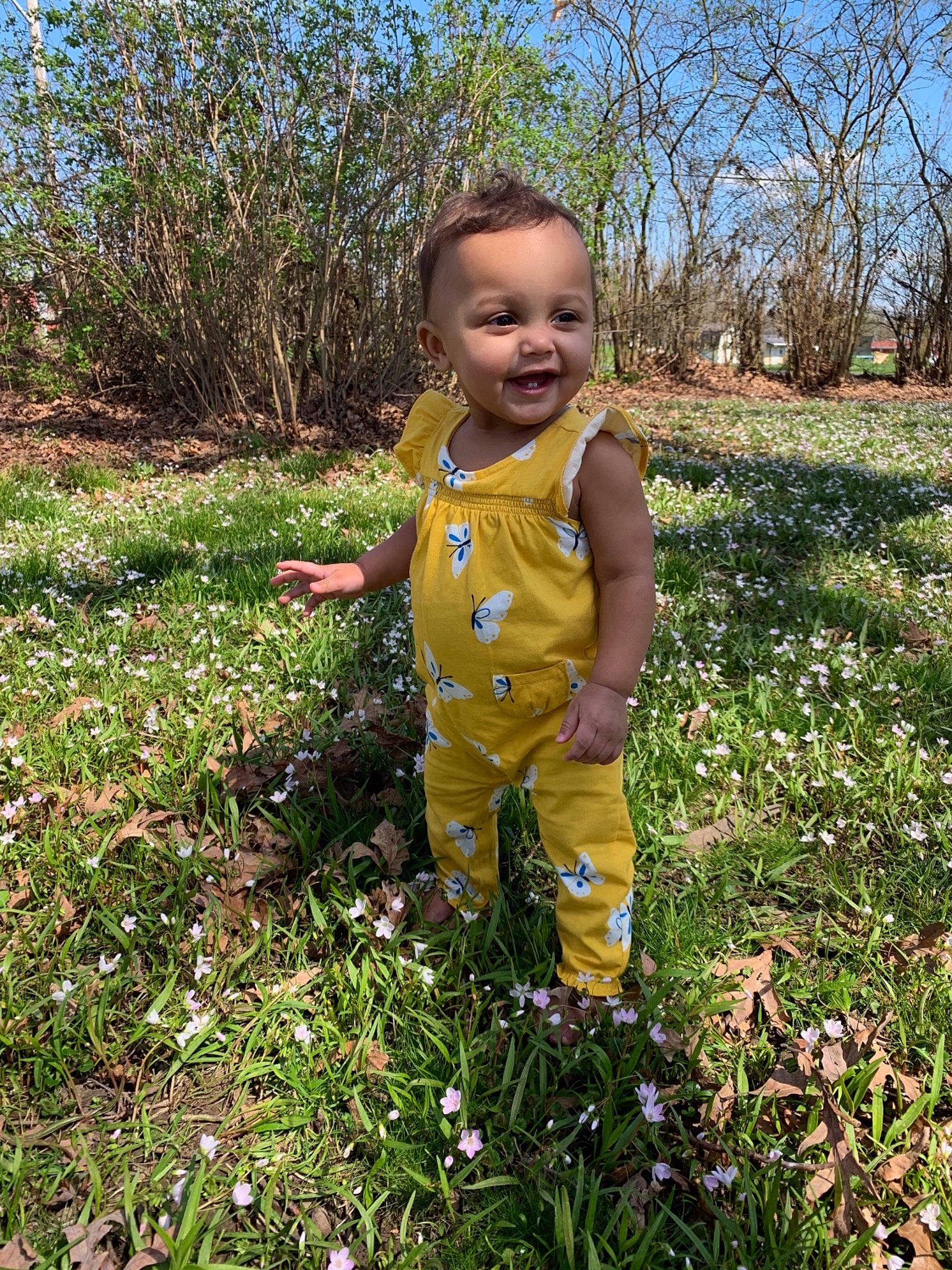 Zariana joined the competition — help win amazing prizes! child, flower, grass, joy, meadow, person, plant, spring, toddler, wildflower