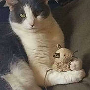 Marilyn Dillon joined the competition — help win amazing prizes!