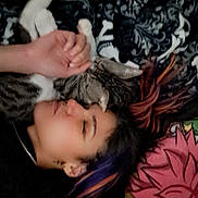 Ryuk joined the competition — help win amazing prizes! person, cat, tabby_cat, sleeping, lying_down, colorful_hair, blanket, patterned_blanket, pillow, pink_pillow, indoor, resting, cozy, close_up, face, hand, pet, animal, companion, relaxation
