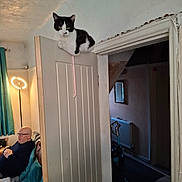 Minnie joined the competition — help win amazing prizes! cat, door, indoor, person, bald, glasses, couch, lamp, curtain, room, vacuum_cleaner, shoes, wall, radiator, furniture, relaxing, seated, pet, black_and_white_cat, curious