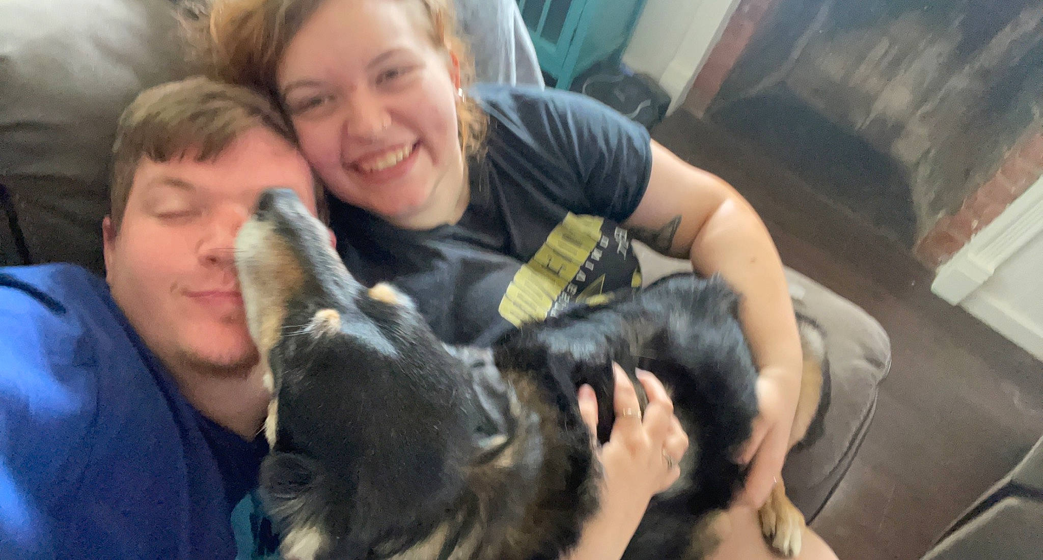 Buddy joined the competition — help win amazing prizes! carnivore, comfort, companion_dog, dog, dog_breed, ear, event, eye, face, fawn, fun, fur, gesture, happy, jaw, mammal, organ, smile, snout, sporting_group